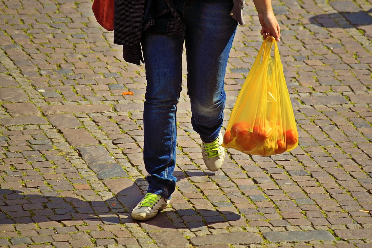 Giornata mondiale senza sacchetti di plastica: oggi si celebra anche a  Genova 