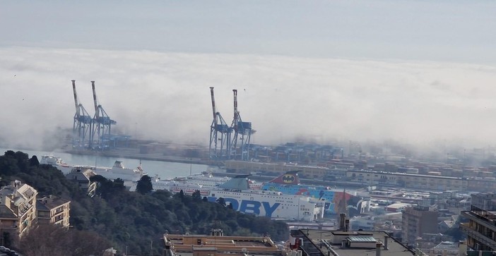 Caligo a Genova: il porto e la città avvolti dalla nebbia