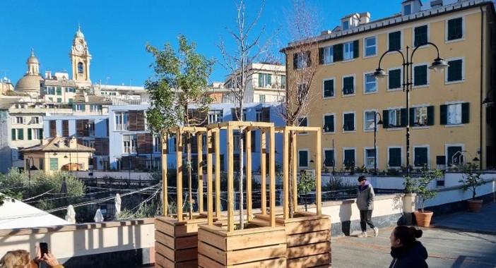 Giardini Luzzati sempre più verdi, inaugurati otto nuovi alberi