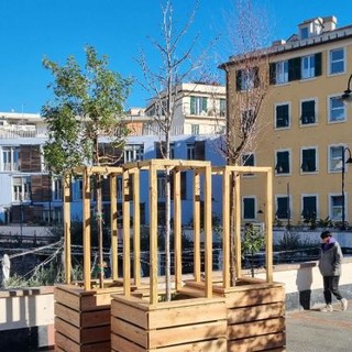 Giardini Luzzati sempre più verdi, inaugurati otto nuovi alberi