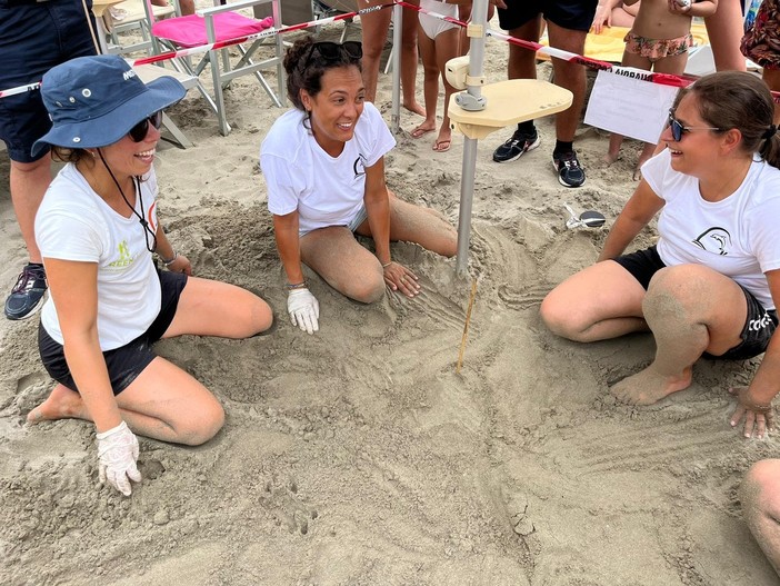 Nido di Caretta Caretta ad Alassio, dal gruppo GLIT l'ipotesi: &quot;Potrebbe trattarsi di una seconda deposizione&quot;