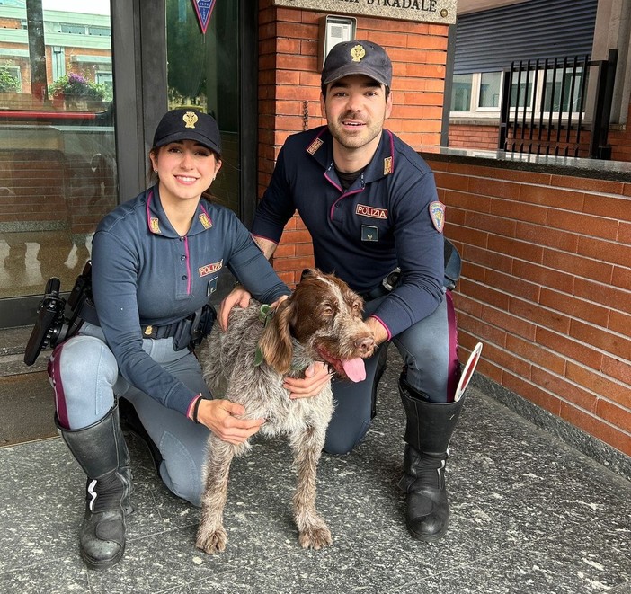 Cane scappa in autostrada, la corsa e il recupero della polizia stradale. Ora è ritornato tra le braccia del suo padrone