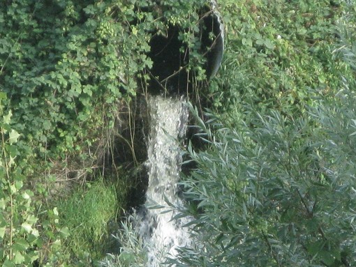 Arsenico nell'acqua di Tarquinia ed altri 35 comuni