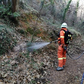 Antincendio boschivo, Mai (Lega): &quot;Importante scambio con i francesi grazie al MedStar&quot;