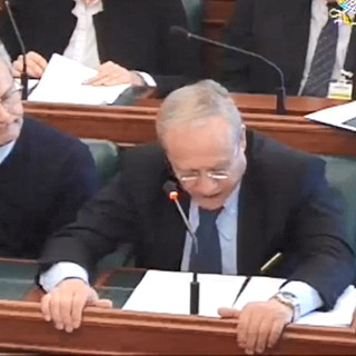 Un fotogramma dell'intervento in Commissione al Senato