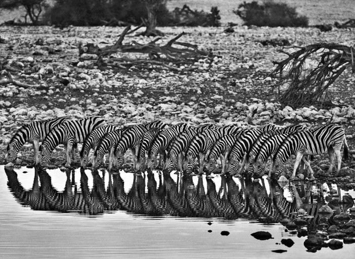 Foto: Sebastião Salgado (Namibia 2005)