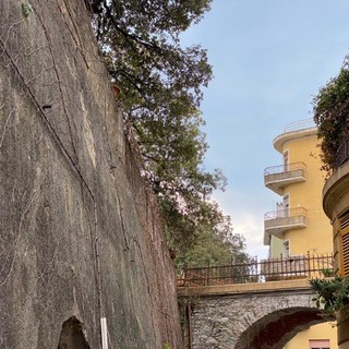 Pegli, gli alberi di Villa Pallavicini saranno potati dal Comune entro fine aprile (FOTO)