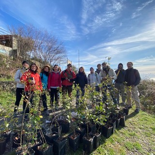 Monte Moro: la raccolta rifiuti di A Thousand Trees Project