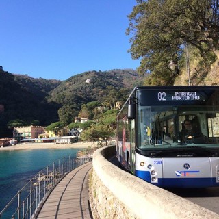 ATP, dal 1° luglio nuove corse tra Santa Margherita e Portofino: un bus ogni 9 minuti