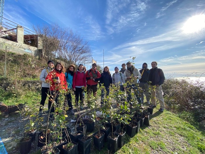 Monte Moro: la raccolta rifiuti di A Thousand Trees Project