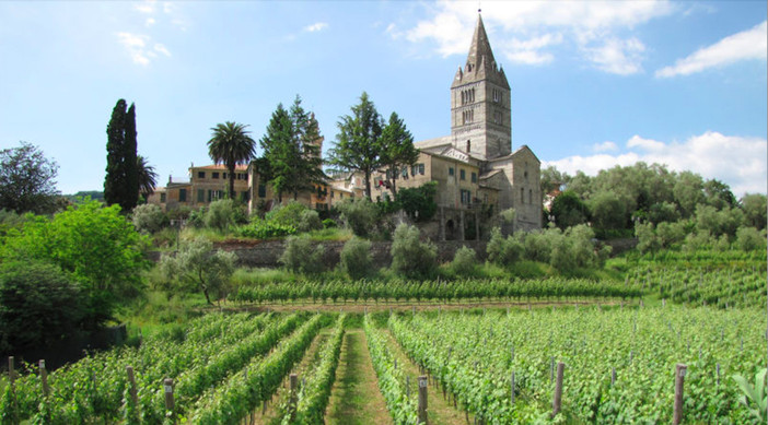 La Basilica dei Fieschi di Cogorno