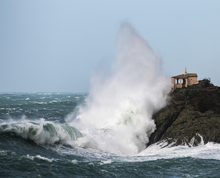 Foto Alessandro Benedetti