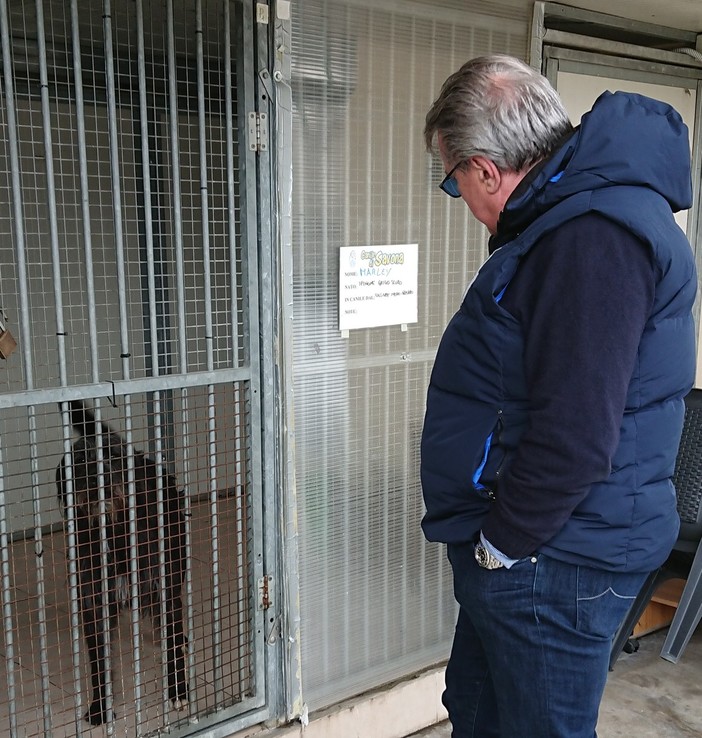 Bozzano: &quot;Sterilizzazione gratuita per randagi o animali abbandonati&quot;