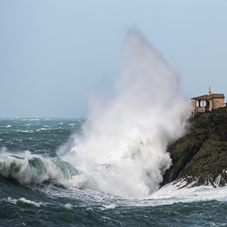 Foto Alessandro Benedetti