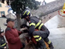 Sestri Levante, i vigili del fuoco salvano un cane precipitato nel fiume (Video)