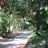 Pegli, è ripartita la stagione del Parco di Villa Durazzo Pallavicini