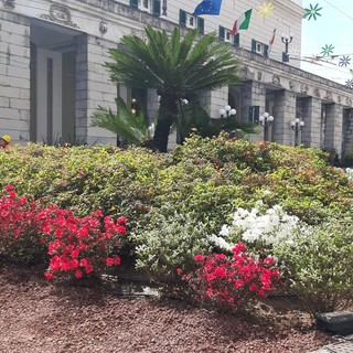 Il Centro Agroalimentare raddoppia gli sforzi per promuovere i fiori in città