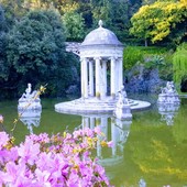 Da tutto il mondo per vedere le camelie di Villa Pallavicini a Pegli