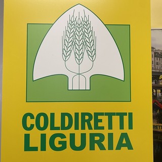 Agricoltura sociale, chiusi i progetti promossi da Coldiretti