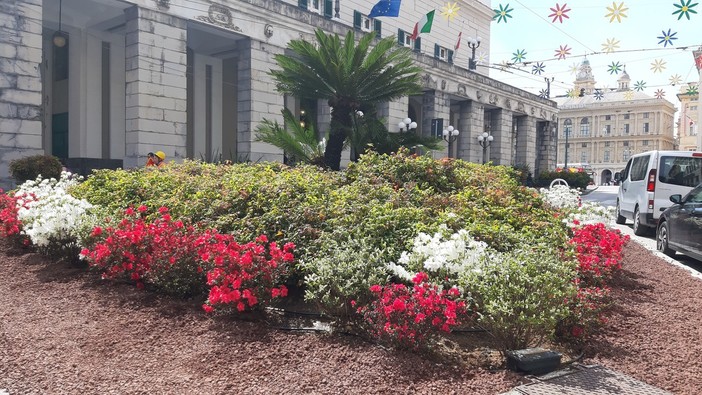 Il Centro Agroalimentare raddoppia gli sforzi per promuovere i fiori in città