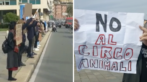 Primo giorno di circo in piazzale Kennedy, la protesta contro lo sfruttamento degli animali