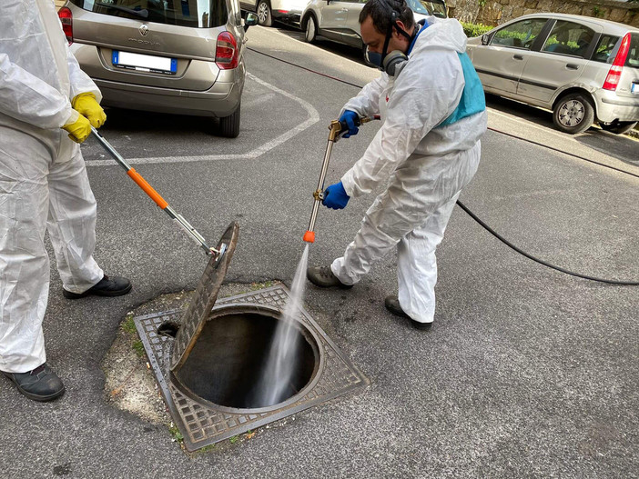 Pegli, con le temperature alte torna l’allarme scarafaggi