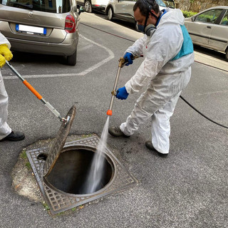 Pegli, con le temperature alte torna l’allarme scarafaggi