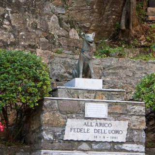 San Rocco di Camogli, “Premio Fedeltà del Cane”: Shiva vince la 61esima edizione