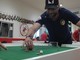 Torneo Elite di Subbuteo, a Genova 40 giocatori da tutta Italia