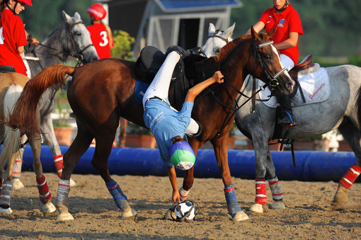 Genova accoglie il Festival degli Sport Equestri