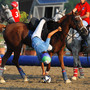 Genova accoglie il Festival degli Sport Equestri