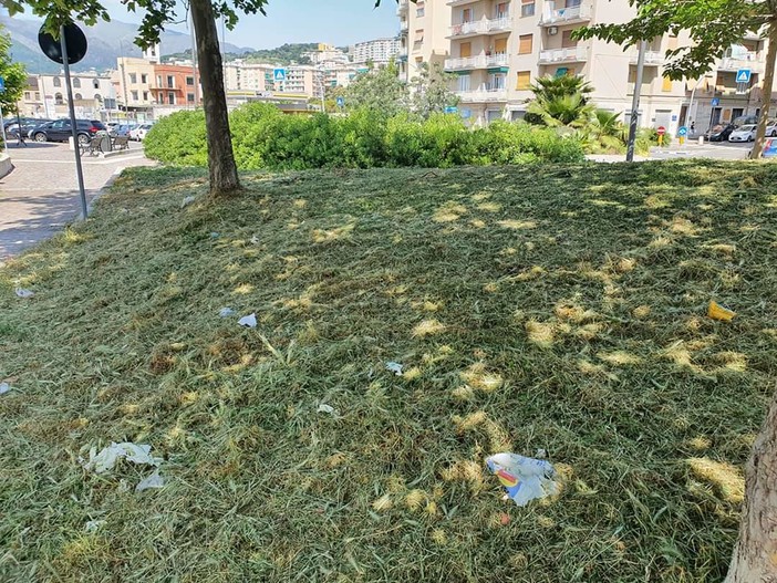 Mascherine e guanti nelle aiuole: l’inciviltà corre a mille sulla Fascia di rispetto di Pra’