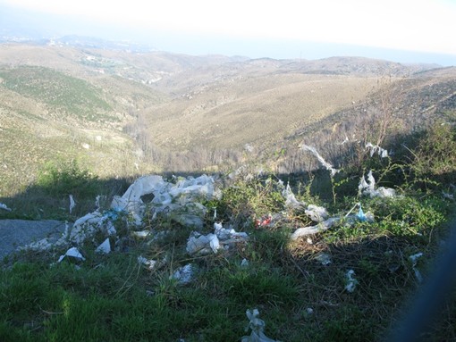 Caso Ramognina, interviene Alluto: Il comitato anti discarica è sparito. La situazione attuale merita l'attenzione di Carabinieri NOE e Forestale