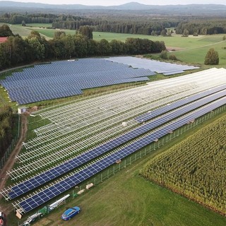 Hai un terreno agricolo e vuoi farlo rendere?