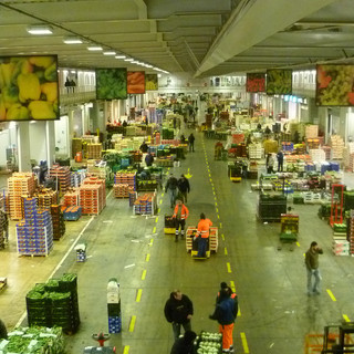 Mercato di Genova: Fruit Logistica a Berlino nuove collaborazioni con altri mercati e porti