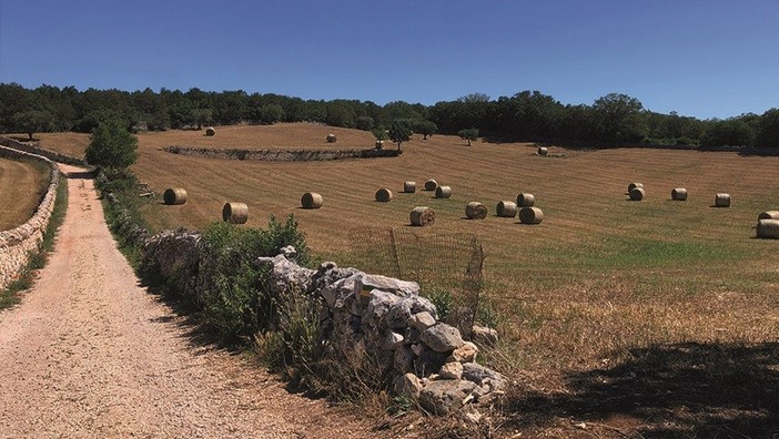 Il Cammino Materano, intervista a Giorgio: a spasso tra Puglia e Basilicata