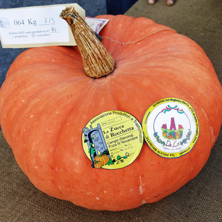 La Zucca di Rocchetta protagonista di prodotti dal sapore unico già disponibili nei migliori negozi della Valle Bormida e della provincia di Savona