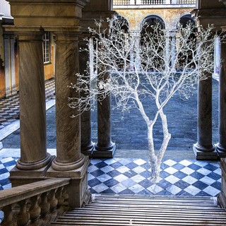 Il Castello d’Albertis si colora di meraviglia con la mostra “Artificialia”