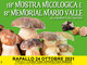 Torna a Rapallo la Mostra Micologica - Memorial Mario Valle