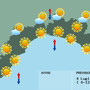 Meteo, un giovedì soleggiato con temperature in aumento sul settore centrale e interno di levante