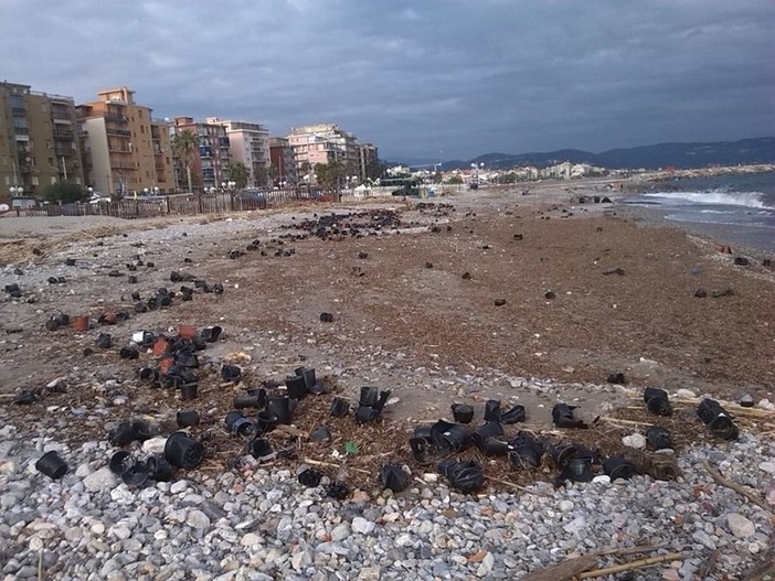 Plastiche in mare, salute a rischio nel Santuario dei cetacei: Legambiente e Expédition MED presentano Pelagos Plastic Free