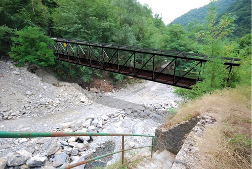 Ricostruire il ponte e salvare il Parco Dogsville, non si ferma l’impegno dell’Associazione Buoncanile