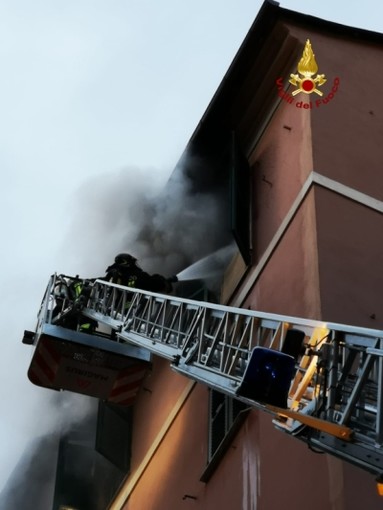 Incendio in Via Rolando: pompieri salvano cane, gatto e coniglio