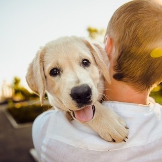 Speciale Backstage all’ospedale Gaslini con ImbimboVet: il cane come terapia