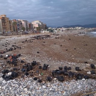 Plastiche in mare, salute a rischio nel Santuario dei cetacei: Legambiente e Expédition MED presentano Pelagos Plastic Free