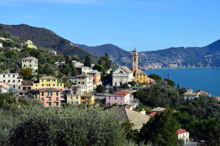 Pnrr, Pieve Ligure partecipa al bando per piantare 40mila alberi