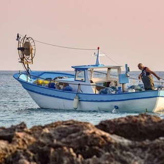 Portofino, 'pesca miracolosa': nelle reti del peschereccio 16 tonnellate di sardine