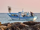 Portofino, 'pesca miracolosa': nelle reti del peschereccio 16 tonnellate di sardine