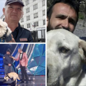 Una vita dedicata agli animali, l’ispettore Alessandro Pilotto ora si gode la pensione: “Le unità cinofile? Sono un coda, sei zampe e un unico vero cuore”