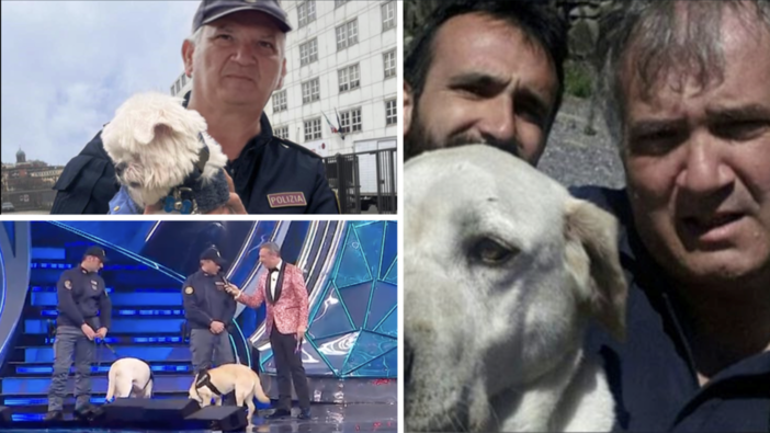 Una vita dedicata agli animali, l’ispettore Alessandro Pilotto ora si gode la pensione: “Le unità cinofile? Sono un coda, sei zampe e un unico vero cuore”